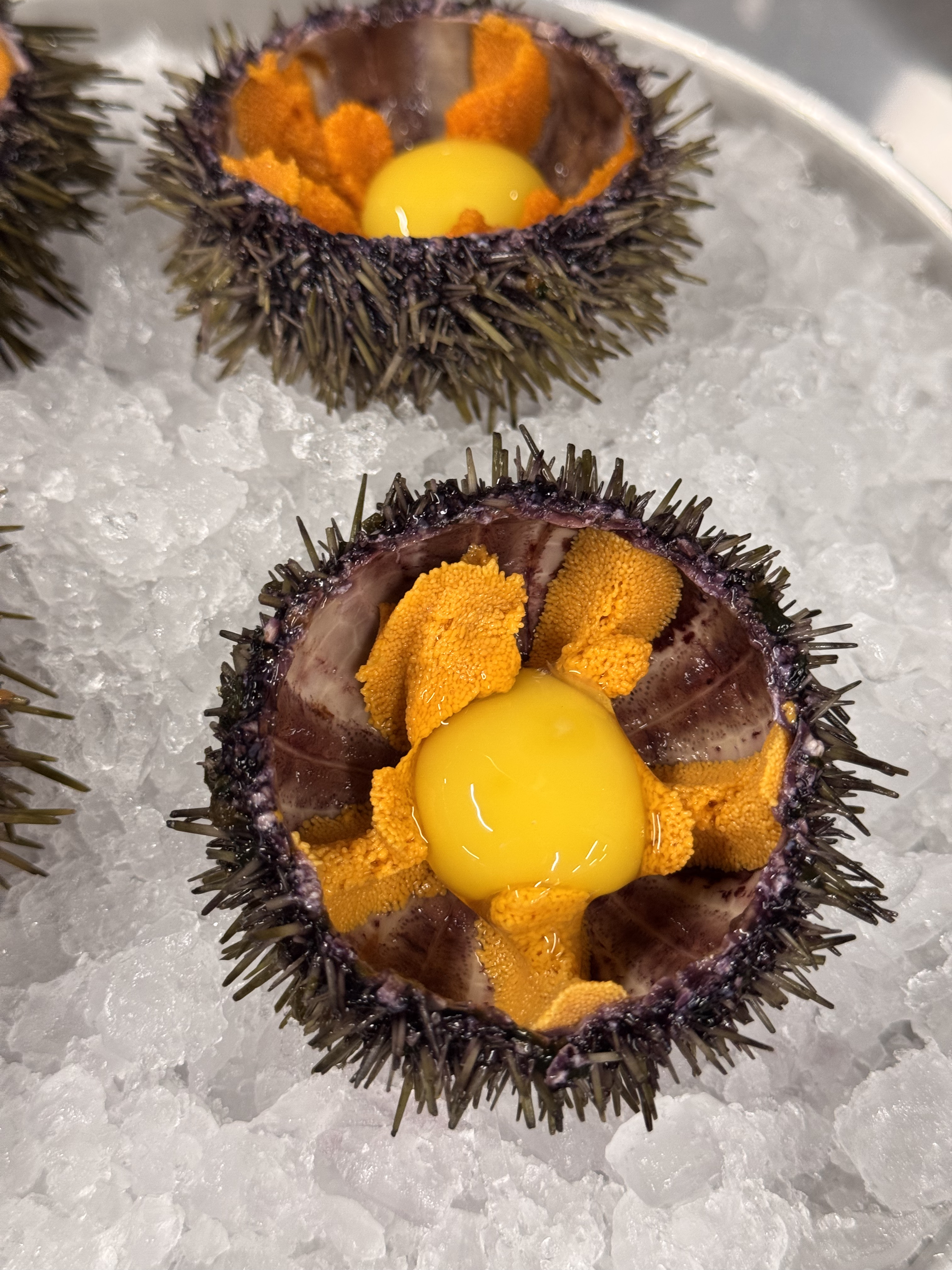 Кухня КРАБЫ IMG_8977